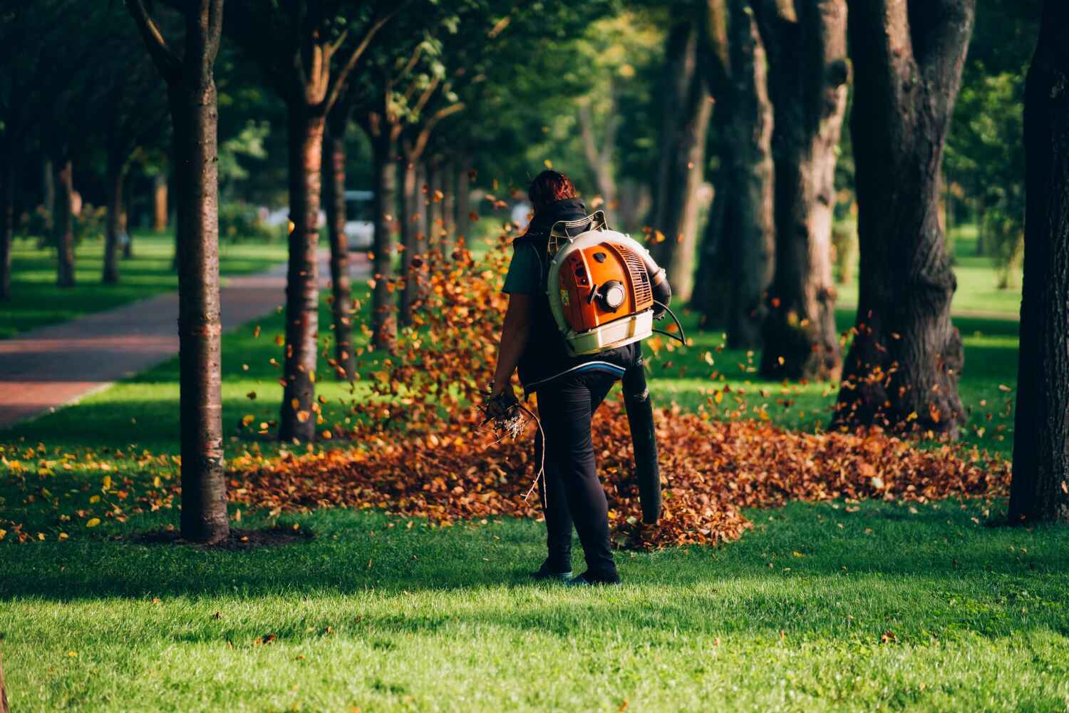 Best Residential Tree Removal  in Spring Grove, IL